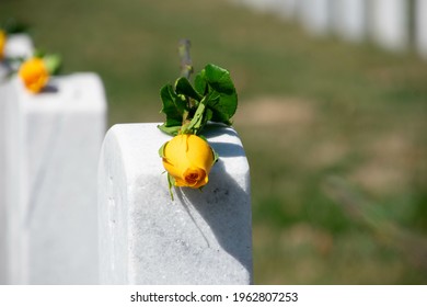 A Yellow Rose On A Gravestone At Arlington National Cemetery