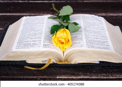 Yellow rose on top of an old Bible - Powered by Shutterstock