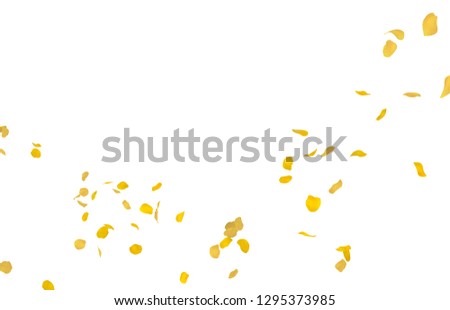 Yellow rose petals fly into the distance. Isolated white background