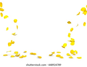 Yellow Rose Petals Flying On The Floor. Isolated White Background