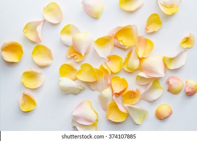 Yellow Rose Petals On A White Fabric
