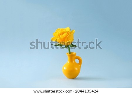 yellow rose in a yellow vase on a blue background