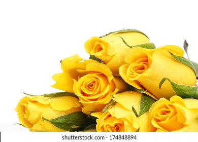 Yellow roses with water drop isolated
