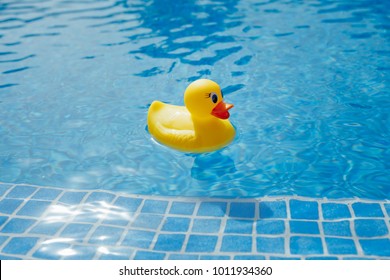 blue aesthetic stock photos images photography shutterstock https www shutterstock com image photo yellow rubber duck blue swimming pool 1011934360