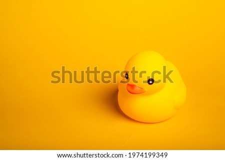 yellow rubber duck cute toy put on the floor