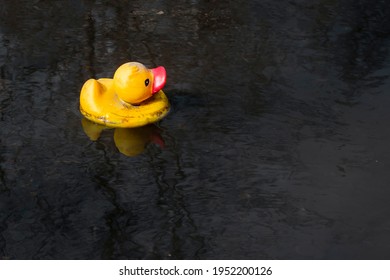 Yellow Rubber Duck In A Dirty Puddle. Depressive Urban Background