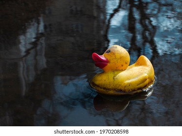 Yellow Rubber Duck In A Dirty Puddle. Depressive Urban Background