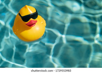 Yellow rubber duck floating on blue water in a pool on a hot summer day, taking a bath and swimming