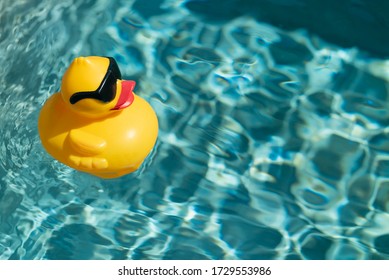 Yellow rubber duck floating on blue water in a pool on a hot summer day, taking a bath and swimming
