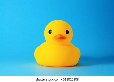 blue rubber duck