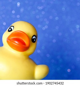 Yellow Rubber Duck offset in Close Up - Powered by Shutterstock