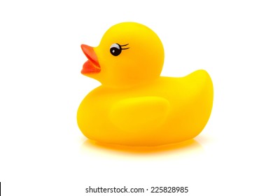 Yellow Rubber Duck On A White Background