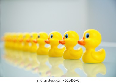 Yellow Rubber Ducks All Lined Up In A Row.