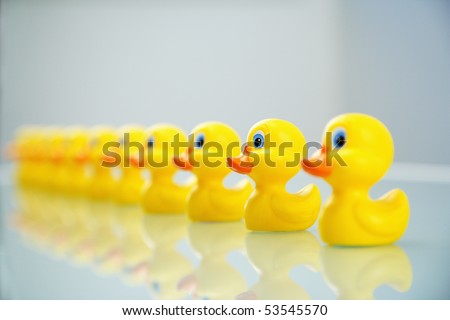 Yellow rubber ducks all lined up in a row.
