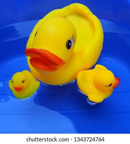 yellow rubber ducks on blue backgroud.