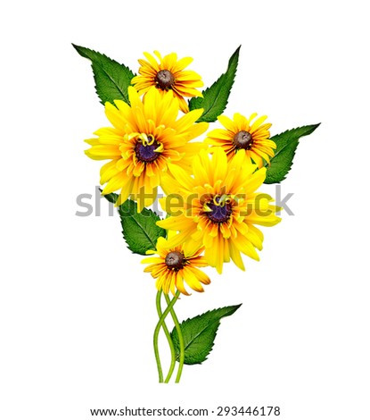 Similar – Image, Stock Photo yellow Rudbeckia with green leaves