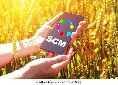 Yellow Rye And Smart Phone In Farmer Hand,  Supply Chain Management