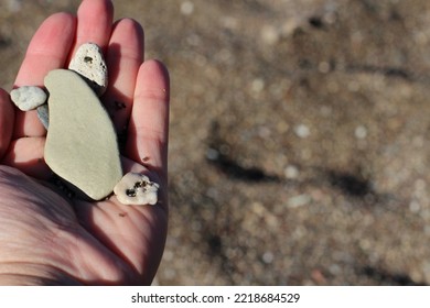 Yellow sand, colorful pebbles on the coastline, shadowy sea stones background on the beach. woman's hand with seastones on the beach - Shutterstock ID 2218684529