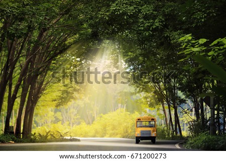 Yellow school bus coming through the trees tunnel.
