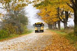 Yellow School Bus Running On Forest Road With Scattered Autumn Leaves
