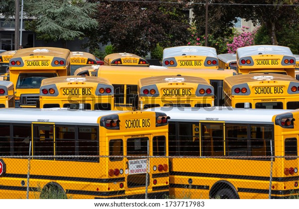 Yellow school buses in a parking lot, in a\
transportation\
background