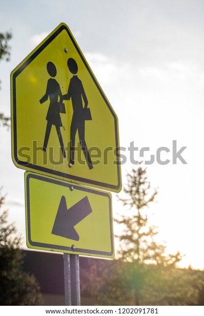Yellow School Crossing\
Sign