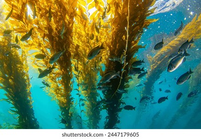 Yellow seaweed in the underwater world. Underwater fish shoal in yellow seaweed. Fish shoal in seaweed underwater - Powered by Shutterstock