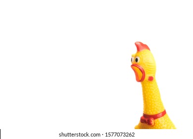 Yellow shrilling chicken with red lips izolated