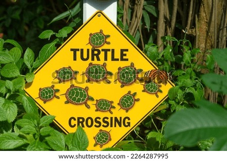 yellow sign in nature. yellow turtle crossing sign. yellow sign outdoor. photo of yellow sign