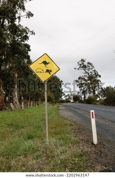 A yellow sign on\
the side of an Australian road warning traffic of native animals,\
pictured is a kangaroo, Koala and a wombat.  vertical photo with\
room for copy space