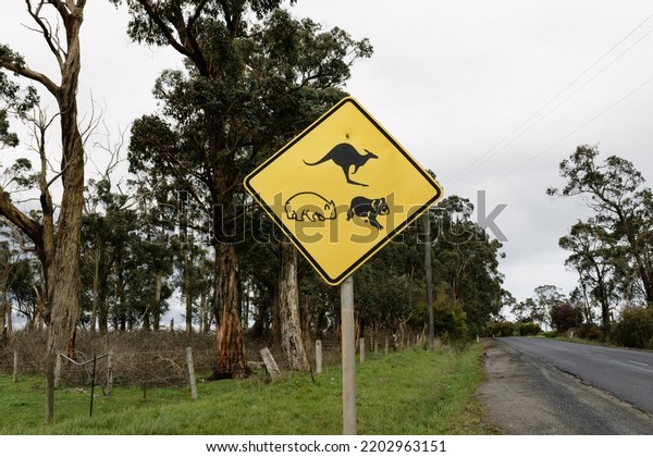 A yellow sign on the side\
of an Australian road warning traffic of native animals, pictured\
is a kangaroo, Koala and a wombat.  sign is in the centre of the\
photo