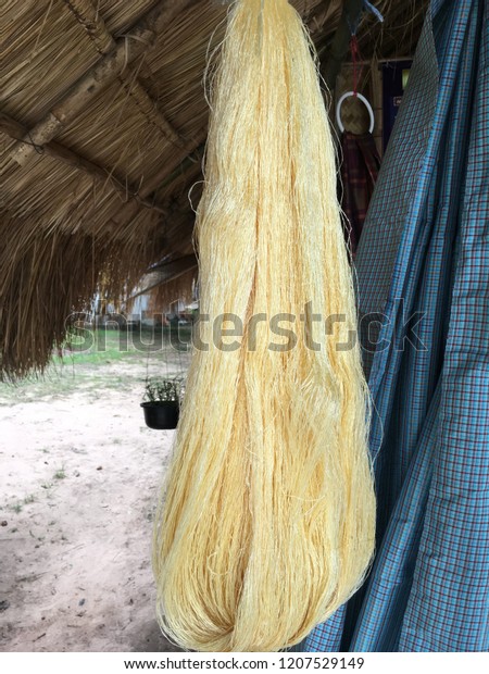 Yellow Silk Prepared Most Expensive Weaving Stock Photo Edit Now