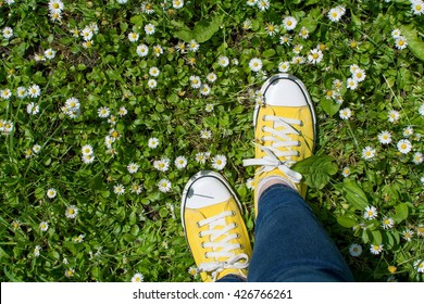 Yellow sneakers in a daisy field. First person point of view