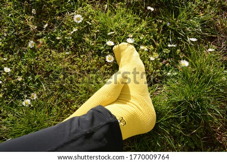 Yellow socks feet grass outdoors