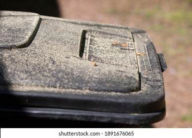 Yellow Specs Of Pollen Covering A Black Garbage Can Outside