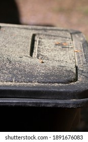 Yellow Specs Of Pollen Covering A Black Garbage Can Outside