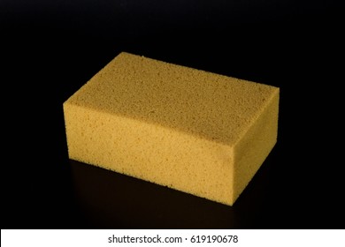 Yellow Sponge