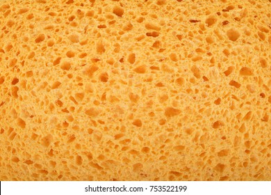 Yellow sponge detail texture, sponge texture background