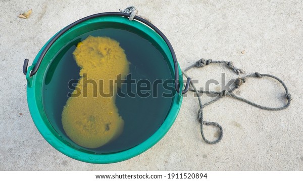 Yellow sponge In the green water bucket concept\
Car wash, wipe clean.