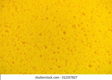 Yellow sponge texture