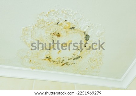 Yellow spots on the bathroom ceiling. Old. Rot. Moldy. Housing. Spot. Treatment. Leaking. Moisture. Organism. Peeling. Surface. Toxic. Water Leak. Grunge. Corner. Home. Leaky. Disused. Yellowed