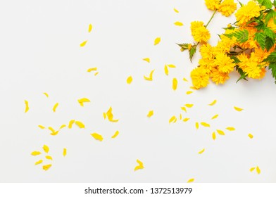 Download Gray Yellow Images Stock Photos Vectors Shutterstock PSD Mockup Templates