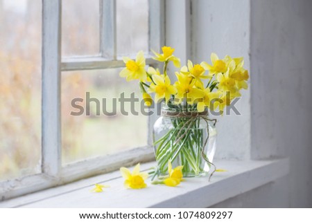 yellow spring flowers on windowsill