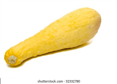 Yellow Squash