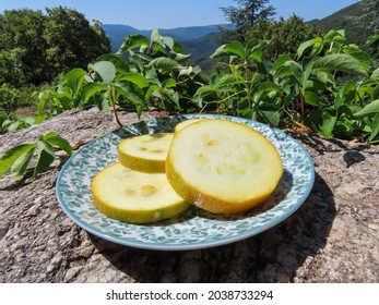 Yellow Squash Slices On A Plate