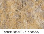 Yellow stone surface background with rough abstract shapes, limestone rock texture