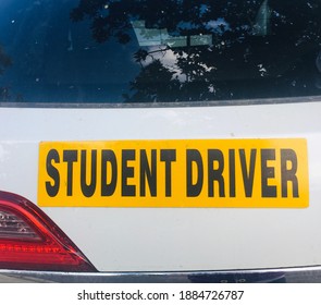 A Yellow Student Driver Sticker On A White Car. The Rear Windshield And Taillight Is Also Seen.