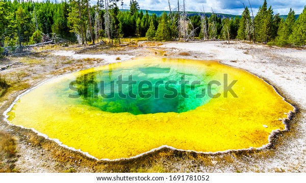 Yellow sulfur mineral deposits around the green and\
turquoise waters of the Morning Glory Pool in the Upper Geyser\
Basin along the Continental Divide Trail in Yellowstone National\
Park, Wyoming, Unite