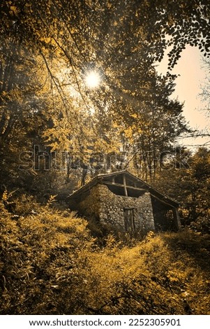 Similar – Medieval castle ruins in autumn, Krimulda, Sigulda, Latvia