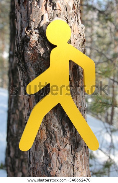 yellow symbol indicating human\
movement of the tourist route on the background of snowy\
forest